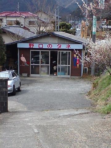 ʐ^